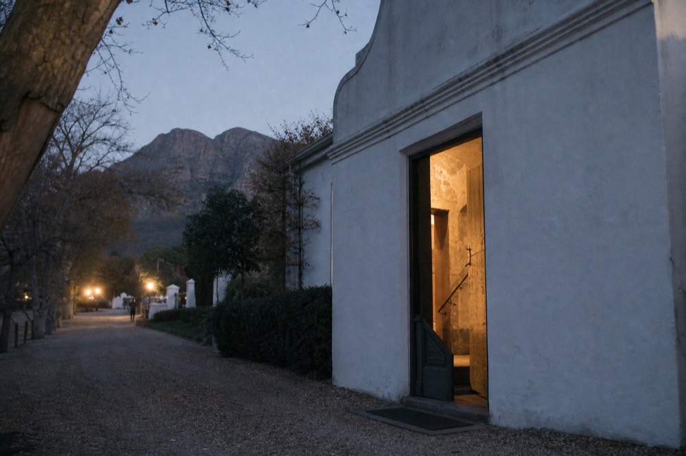 Oak-lined street and mountain views in Stellenbosch wine country, no text, no logos, no people