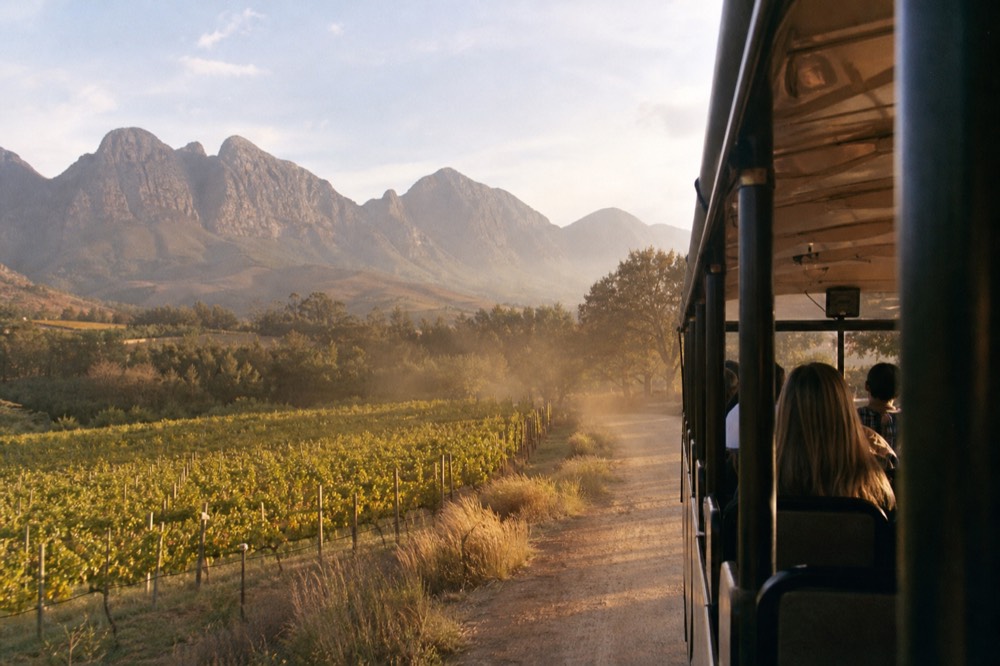 Open-air tram-bus on a Franschhoek valley road between vineyards, no text, no logos, no people.