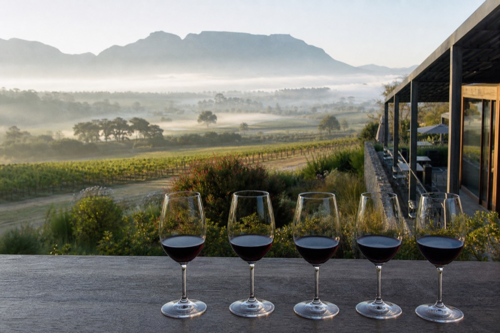 Tasting flight of red wines on a wooden counter overlooking vineyards, no text, no logos, no people.