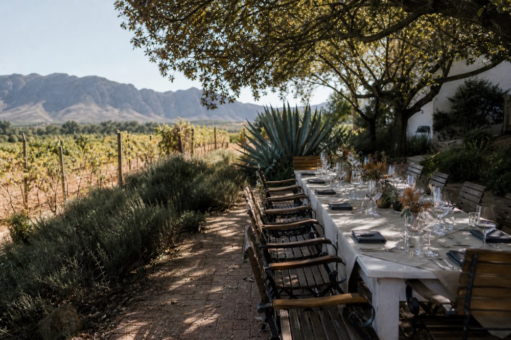 Long table set for lunch on a winelands estate terrace under oak trees, no text, no logos, no people.