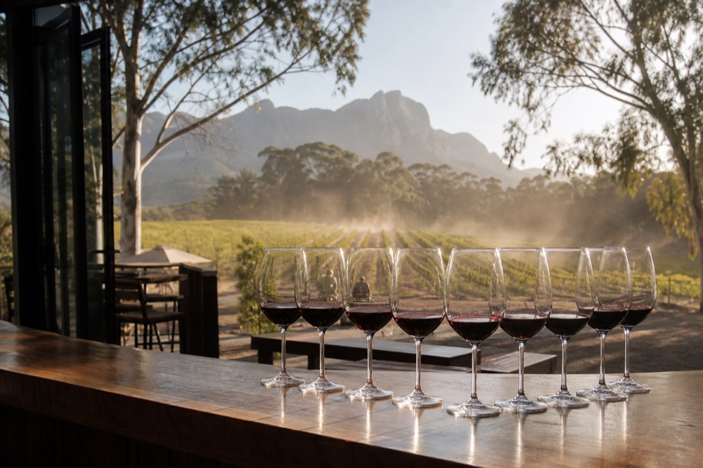 Glasses of red wine lined up on a wooden tasting counter, no text, no logos, no people
