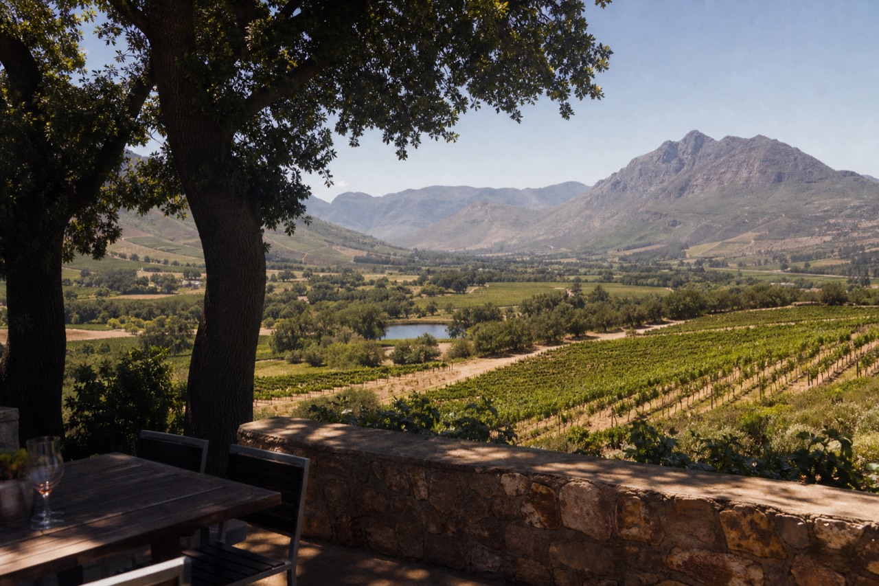 Vineyard-covered hills above the Franschhoek valley on a clear day, no text, no logos, no people.