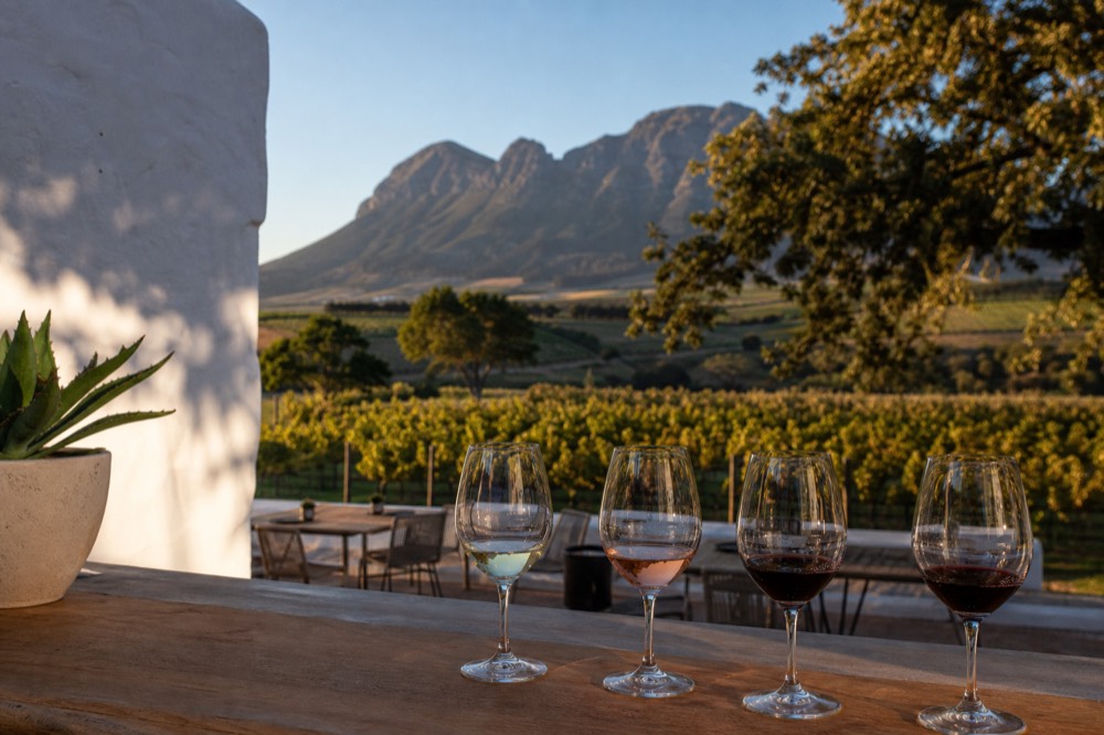 Wine tasting flight on a wooden counter overlooking vines, no text, no logos, no people