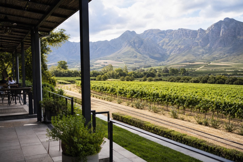 Vineyard rows and mountains seen from a wine estate terrace, no text, no logos, no people