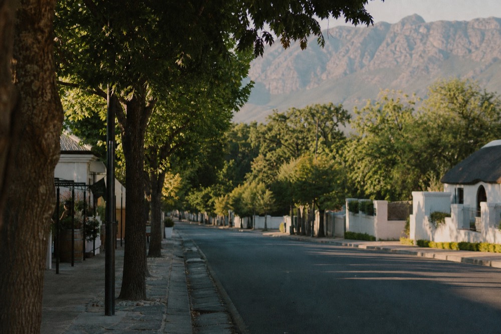 The tree-lined main street of Franschhoek village in late afternoon light, no text, no logos, no people