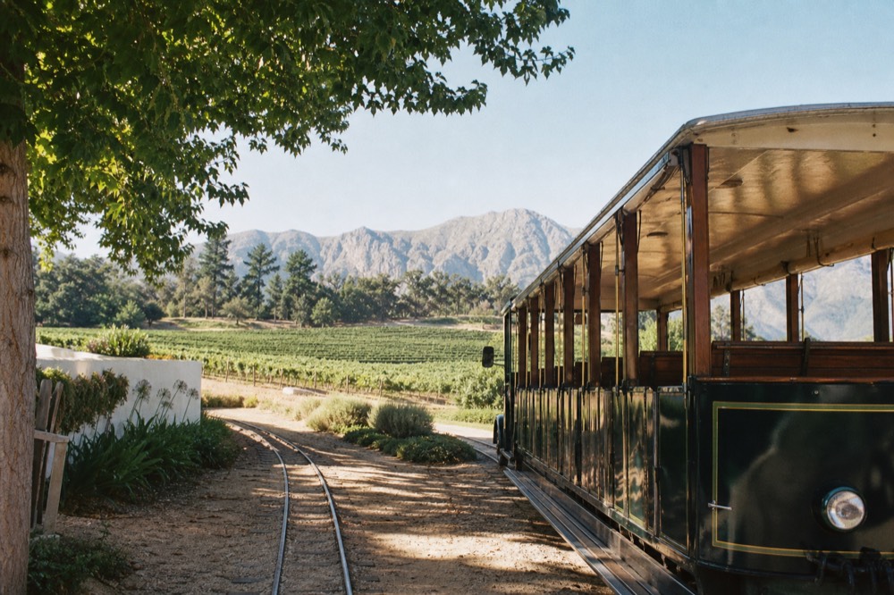 Open-air tram-bus parked at a Franschhoek wine estate entrance, no text, no logos, no people