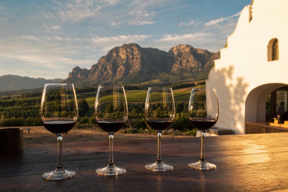 Wine tasting flight of red wines on a wooden tasting room counter, no text, no logos, no people