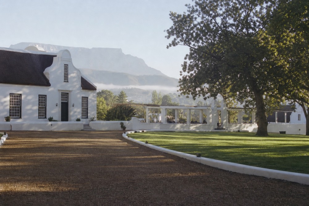 Cape Dutch architecture on a Stellenbosch wine estate with oak trees, no text, no logos, no people