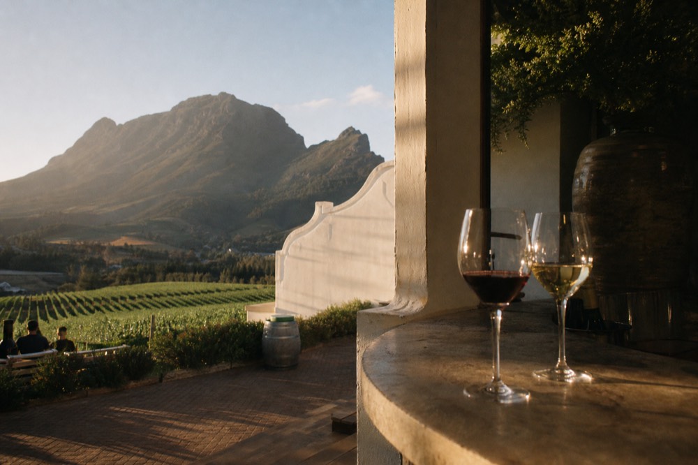 Glasses of red and white wine on a tasting room counter, no text, no logos, no people