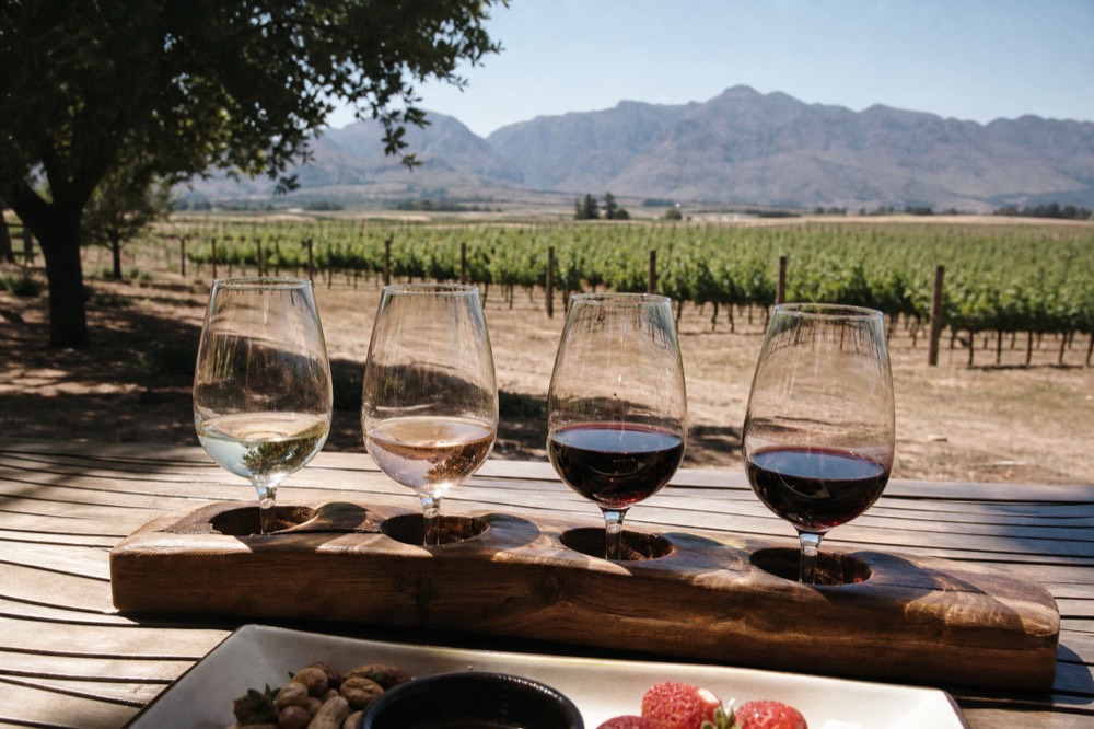Wine tasting flight on a cellar door table overlooking vineyards near Stellenbosch, no text, no logos, no people