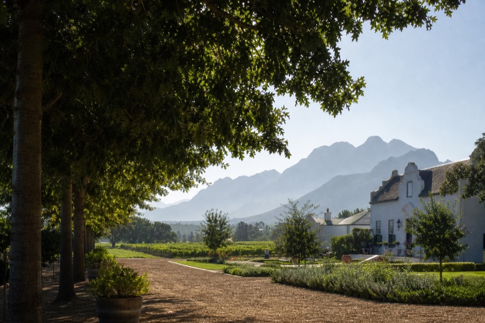Wine estate grounds with Cape Dutch architecture and mountain backdrop in Franschhoek, no text, no logos, no people