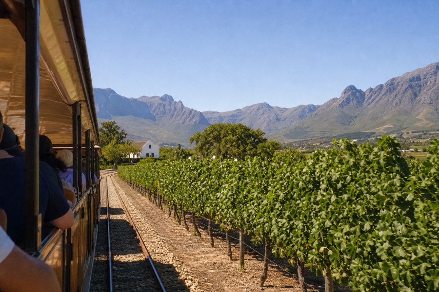 An open-sided vintage-style tram carriage on tracks running between Franschhoek vineyard rows