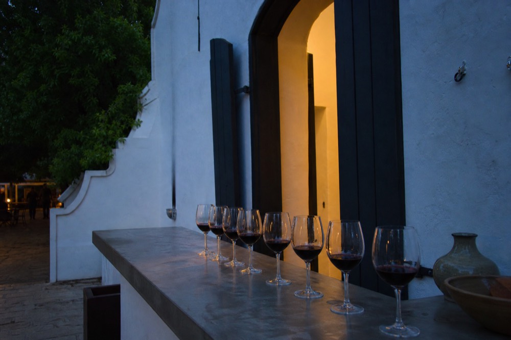 A tasting flight of red wine glasses lined along a cellar door counter, no text, no logos, no people