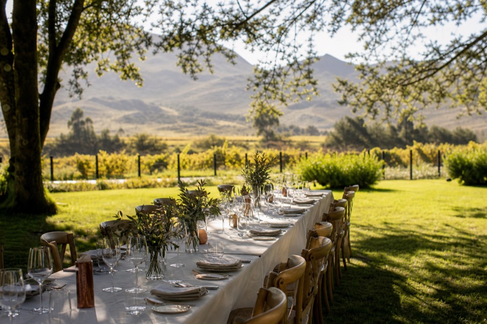 A long lunch table set on a wine estate lawn under trees, no text, no logos, no people