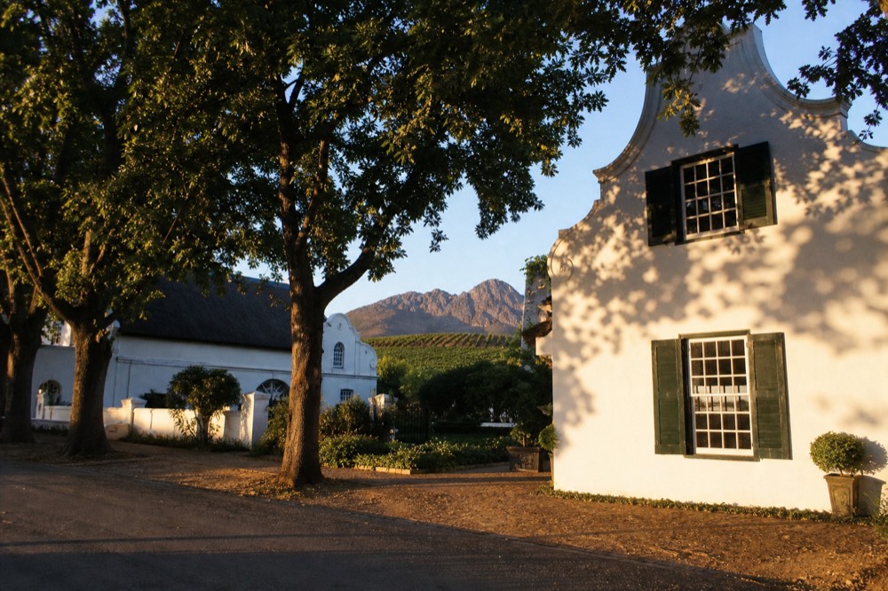 Oak-lined street in Stellenbosch with Cape Dutch architecture, no text, no logos, no people