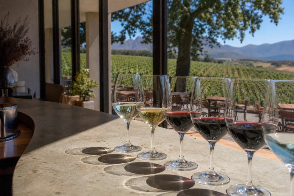 Flight of wine glasses on a tasting room counter, no text, no logos, no people