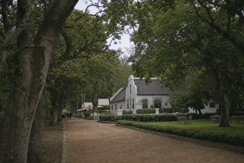 Historic Cape Dutch manor house at a Constantia wine estate, no text, no logos, no people