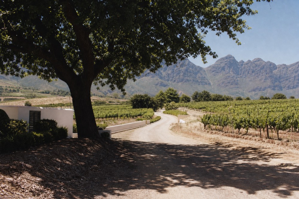 Mountain pass road winding between vineyards toward Franschhoek, no text, no logos, no people