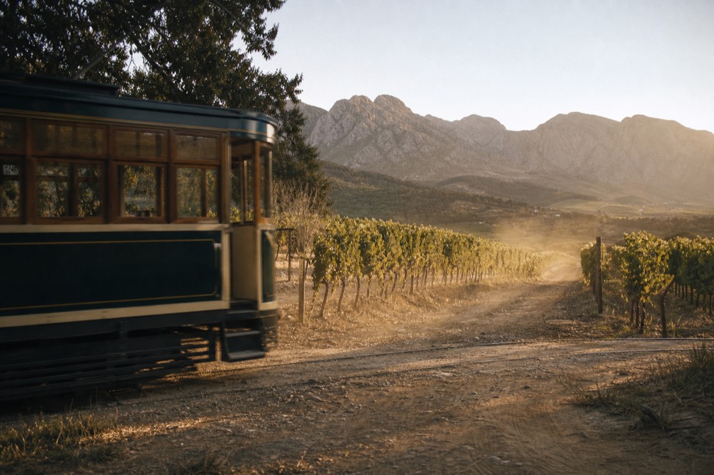 Vintage-style tram crossing a vineyard track at golden hour, no text, no logos, no people