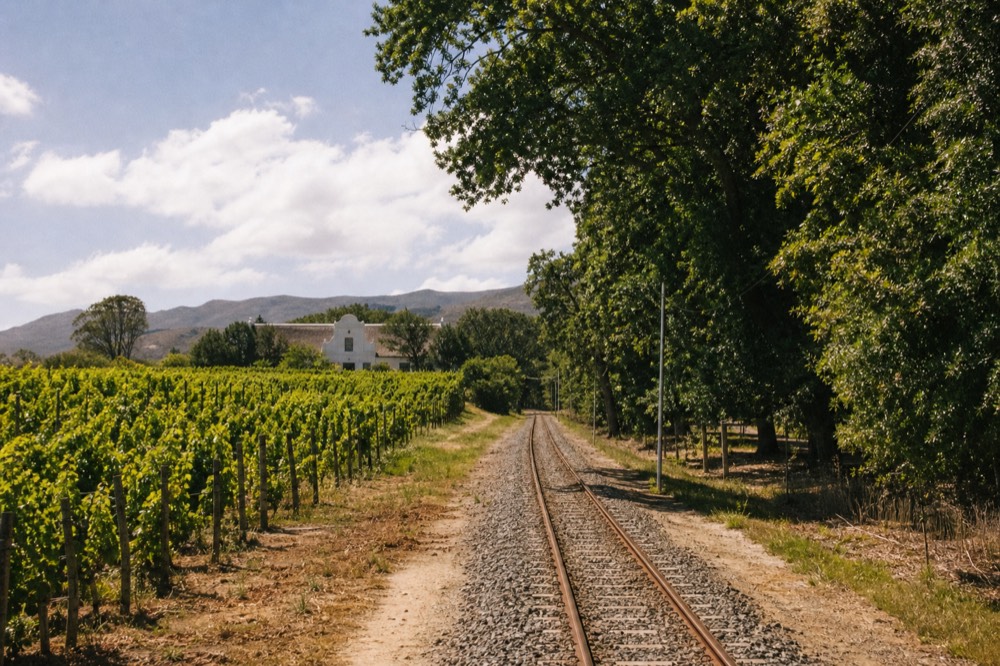 Groot Constantia manor house with vineyard rows, no text, no logos, no people