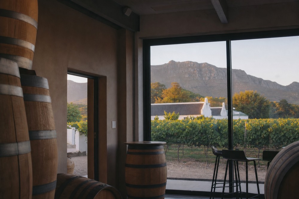 Tasting room interior with barrels and a view of vineyards, no text, no logos, no people