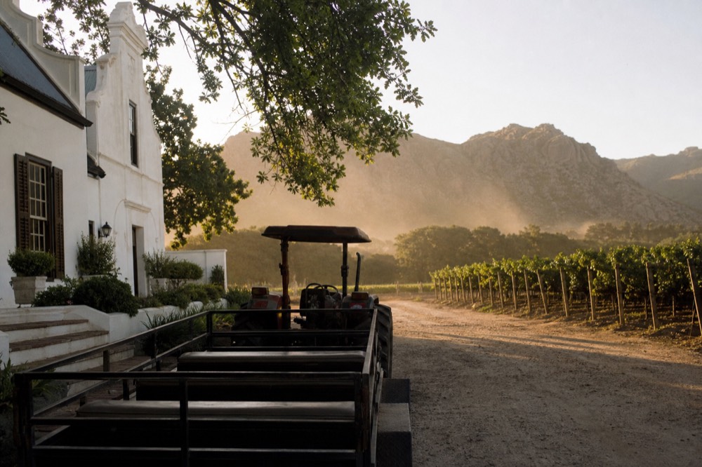Tractor-drawn open carriage parked beside a Cape Dutch manor house among vineyards, no text, no logos, no people