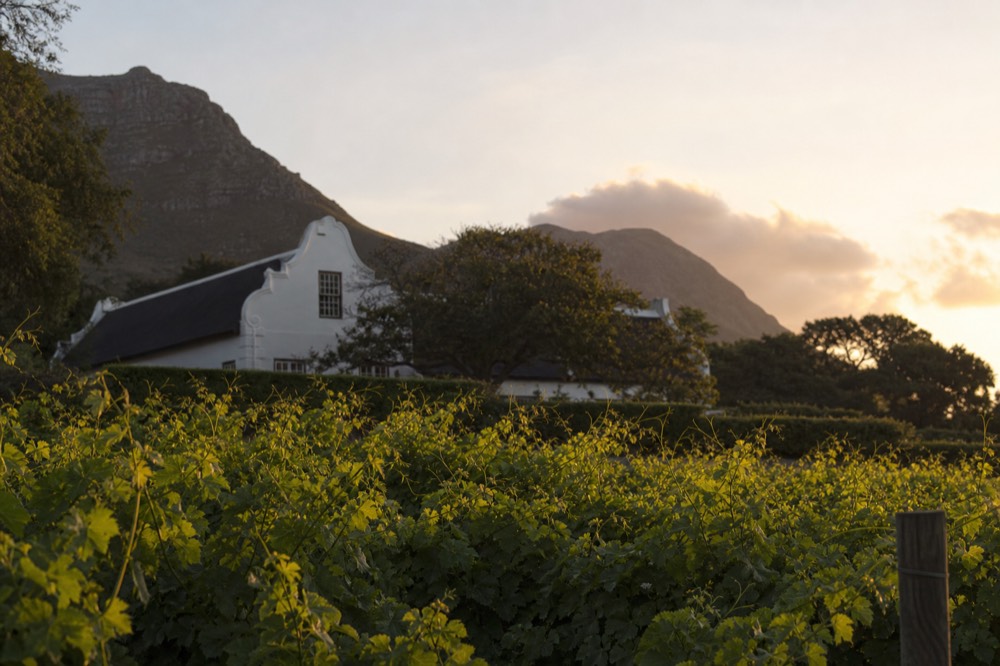 Historic Cape Dutch manor house at a Constantia wine estate, no text, no logos, no people