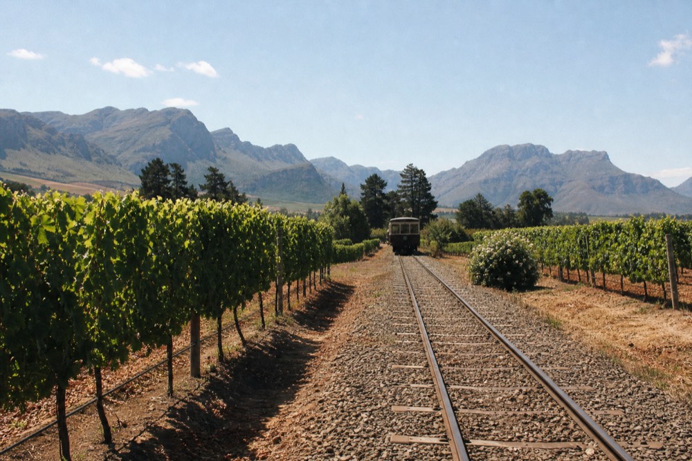 Travellers walking between wine barrels in a cellar, no text, no logos, no people