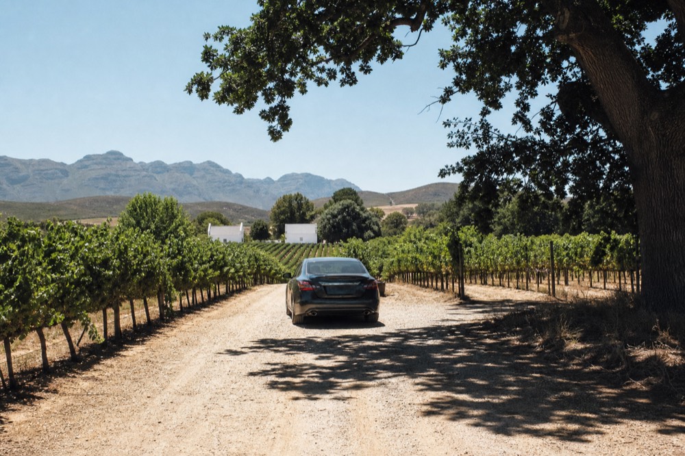 Private car waiting on a gravel road between vineyard rows, no text, no logos, no people