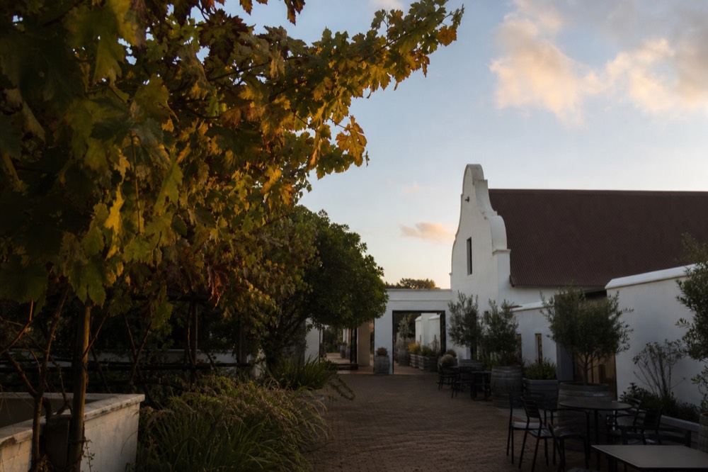Travelers browsing a wine estate courtyard between tastings, no text, no logos, no people